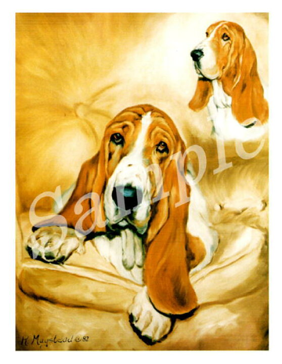 楽天市場 グリーティングカード Ruth バセット ハウンド 輸入雑貨 犬雑貨 犬グッズ 犬雑貨専門店 銀屋