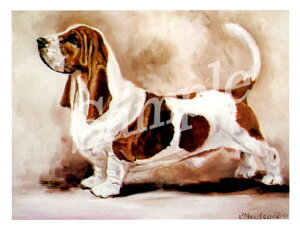 ݌Ɍ@O[eBOJ[h RuthyoZbgEnEh X^fBOzAG݁@G݁@ObY