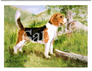 ݌Ɍ@O[eBOJ[h Ruthyr[O X^fBOzAG݁@G݁@ObY