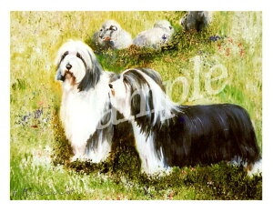 ݌Ɍ@O[eBOJ[h RuthyrAfbhER[zAG݁@G݁@ObY