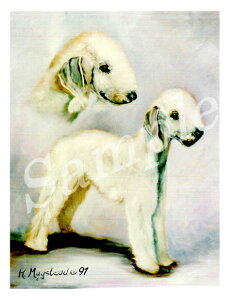 ݌Ɍ@O[eBOJ[h RuthyxhgEeA X^fBOzAG݁@G݁@ObY