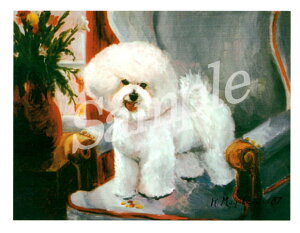 ݌Ɍ@O[eBOJ[h RuthyrVEt[[@ChairzAG݁@G݁@ObY