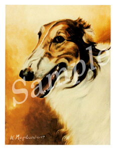 在庫限り グリーティングカード Ruth【ボルゾイ ブラウン&ホワイト】輸入雑貨 犬雑貨 犬グッズ