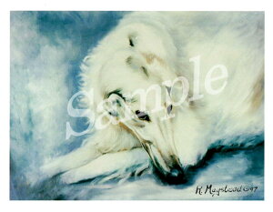 ݌Ɍ@O[eBOJ[h Ruthy{]C@zCgzAG݁@G݁@ObY