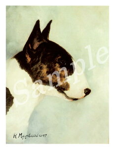 ݌Ɍ@O[eBOJ[h RuthyuEeA@ubNzCgzAG݁@G݁@ObY