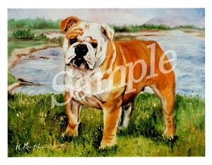 ݌Ɍ@O[eBOJ[h RuthyuhbO uEzCg@X^fBOzAG݁@G݁@ObY