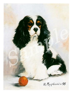 ݌Ɍ@O[eBOJ[h RuthyLoAELOE`[YEXpjG@TricolorzAG݁@G݁@ObY