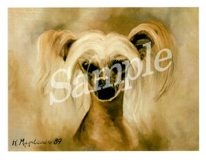 ݌Ɍ@O[eBOJ[h Ruthy`Cj[YENXebhEhbO @^zAG݁@G݁@ObY