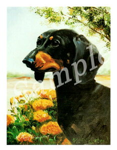 ݌Ɍ@O[eBOJ[h Ruthy_bNXth Black&TanzAG݁@G݁@ObY