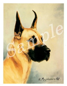 ݌Ɍ@O[eBOJ[h RuthyO[gEf[@FawnzAG݁@G݁@ObY