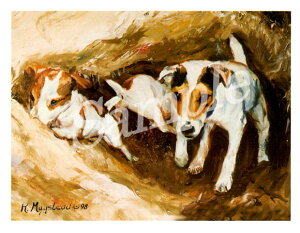 ݌Ɍ@O[eBOJ[h RuthyWbNEbZEeA@DiggingzAG݁@G݁@ObY