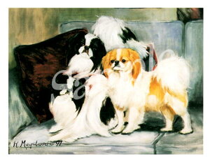 ݌Ɍ@O[eBOJ[h Ruthy༁@GroupzAG݁@G݁@ObY