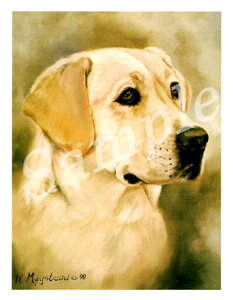 ݌Ɍ@O[eBOJ[h Ruthyuh[Eg[o[@Blonde Head ShotzAG݁@G݁@ObY