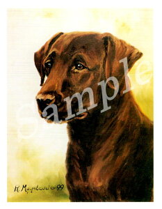 ݌Ɍ@O[eBOJ[h Ruthyuh[Eg[o[@Red Head ShotzAG݁@G݁@ObY