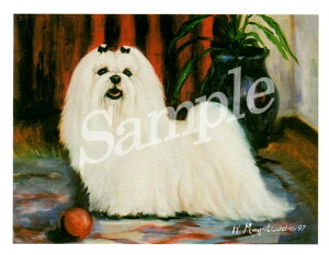 ݌Ɍ@O[eBOJ[h Ruthy}`[Y@Full Body with BallzAG݁@G݁@ObY