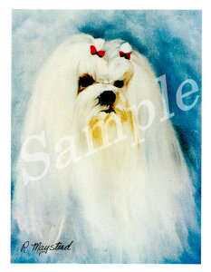 ݌Ɍ@O[eBOJ[h Ruthy}`[Y@Head ShotzAG݁@G݁@ObY