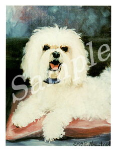 ݌Ɍ@O[eBOJ[h Ruthy}`[Y@Short Hair w/BowTie on PillowzAG݁@G݁@ObY