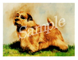 ݌Ɍ@O[eBOJ[h Ruthym[tH[NEeAzAG݁@G݁@ObY