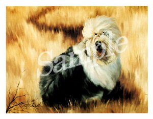 ݌Ɍ@O[eBOJ[h RuthyI[hECObVEV[vhbO@No2zAG݁@G݁@ObY