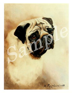 ݌Ɍ@O[eBOJ[h RuthypO@Fawn Head ShotzAG݁@G݁@ObY