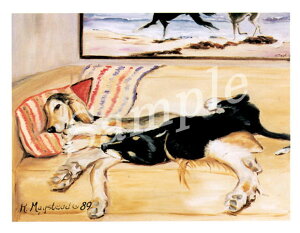 ݌Ɍ@O[eBOJ[h RuthyT[L@SleepzAG݁@G݁@ObY