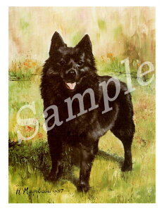 ݌Ɍ@O[eBOJ[h RuthyXLbp[LzAG݁@G݁@ObY