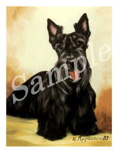 ݌Ɍ@O[eBOJ[h RuthyXReBbVEeA sittingzAG݁@G݁@ObY