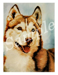 ݌Ɍ@O[eBOJ[h RuthyVxAEnXL[ @RedzAG݁@G݁@ObY