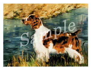 ݌Ɍ@O[eBOJ[h RuthyWEXvK[XpjG@StandingzAG݁@G݁@ObY