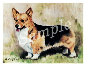 ݌Ɍ@O[eBOJ[h RuthyEGVER[M[Eyu[N@BlackTanzAG݁@G݁@ObY