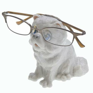 ݌Ɍ@tBMA@OXX^hySheba CatzLG݁ELObYEAG݁EዾuEKlX^h