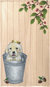gŷz@Labrador in bucketyG݁EObYECG[uEuh[g[o[z