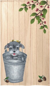 gŷz@Schnauzer in bucketyG݁EObYEViEU[z