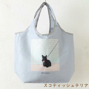 RpNgGRobO@tHgvgDogyG/ObY/r[O/}`[Y/XReBbVeAz