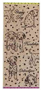 ݌Ɍ@tFCX^I@_VAyG݁EObYz