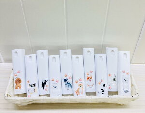 ݌Ɍ@Xv[{g@񂿂V[YG݁EObYEv[hE`EV[Y[EViEU[EČEtuEpOEEGXeB