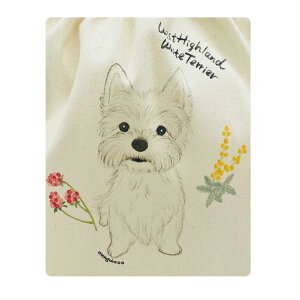 ݌Ɍ@Вg[gobNMTCYELTCY@RyG݁EhbOObYEv[hE`EV[Y[EViEU[EČER[M[EtuEpOE}`[YE|jA