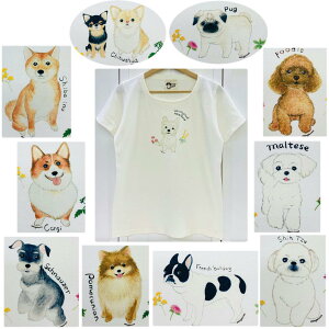 ݌Ɍ@TVc@񂿂񌢎G݁EObYEEGXeBEv[hE`EV[Y[EViEU[EČER[M[EtuEpOE|jAE}`[Y