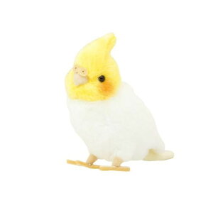 ʂ݁@Ƃ肳y G݁EƂObYZLZCCRIJCRz