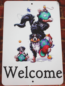 y݌ɌzEFJv[gyo[j[YzAG݁@G݁@ObY EFJ{[h