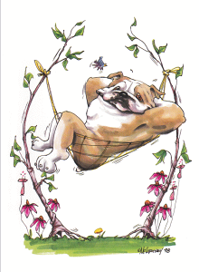 ݌Ɍ@O[eBOJ[hyuhbO@nbNzAG݁@G݁@ObY