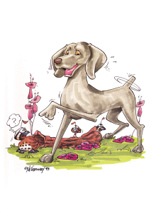 ݌Ɍ@O[eBOJ[hyC}i[zAG݁@G݁@ObY