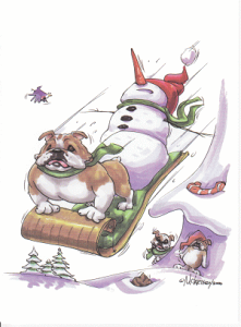 ݌Ɍ@NX}XJ[hyuhbOzAG݁@G݁@ObY