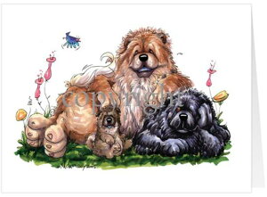 ݌Ɍ@O[eBOJ[hy`E`E@GroupzAG݁@G݁@ObY