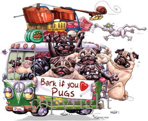 y݌ɌzMChbOS@TVcypO@AG݁@G݁@ObYz