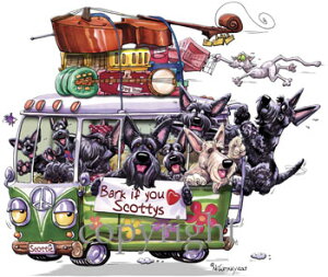 y݌ɌzMChbOS@TVcyXReBbVEeA@AG݁@G݁@ObYz