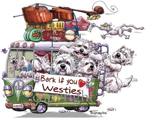 y݌ɌzMChbOS@TVcyEGXeB@AG݁@G݁@ObYz