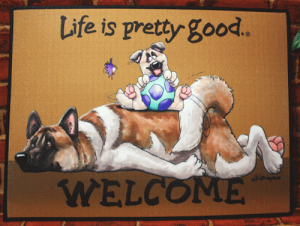 ݌Ɍ@EFJ}bgyHczAG݁@G݁@ObY