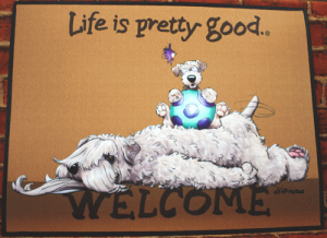 ݌Ɍ@EFJ}bgyEB[gEeAzAG݁@G݁@ObY