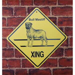 y݌ɌzXing{[hyuE}XeBtzG݁@ObY@AG݁@EFJ{[h